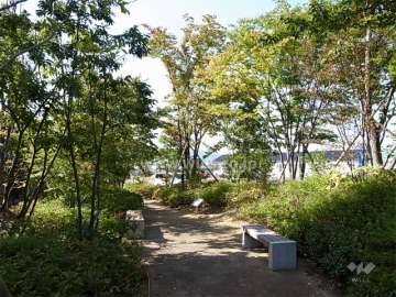 敷地北東側の植栽スペース