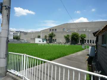 マンションの東側にはピッコロシアターがあります。