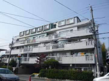 ロックスの外観（南東側から）