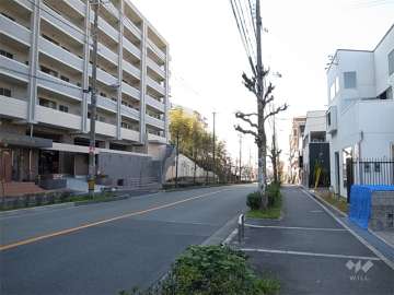 敷地北側の前面道路。街路樹のきれいな通りです。
