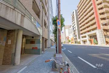敷地北側の前面道路（東側から）