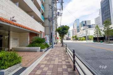 敷地の南側前面道路（西側から）