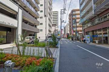 敷地南側の前面道路（西側から）