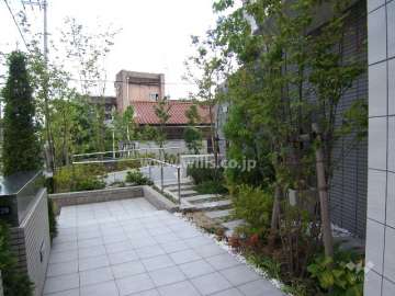 敷地内に植栽スペースが多く設けられています。