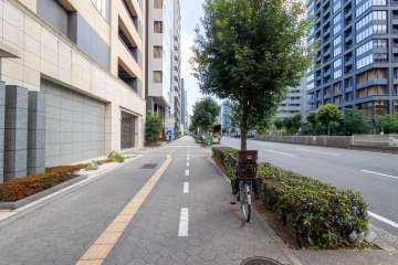 敷地の西側前面道路（北側から）