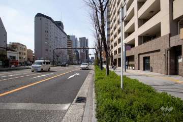 敷地南東側の前面道路（北東側から）
