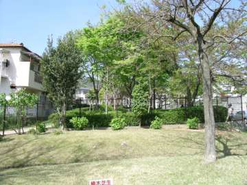 敷地内の公園