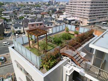 実のなる木を育てる自然学習の場、屋上果樹園『マナビノニワ』