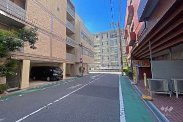 敷地南側の前面道路（北側から）