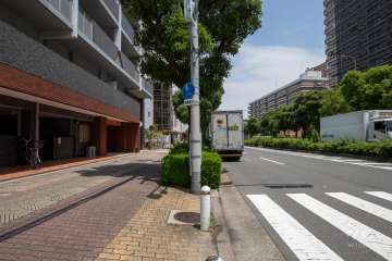 敷地東側の前面道路（南側から）