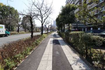 敷地東側の前面道路。道を挟んで東側には大川が流れています。