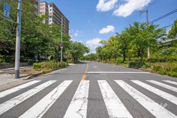敷地東側の前面道路