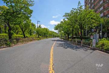 敷地東側の前面道路