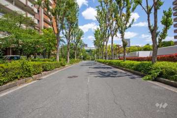 敷地南側の前面道路