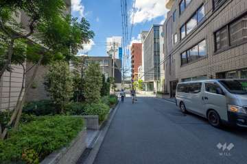 敷地の西側前面道路（北側から）