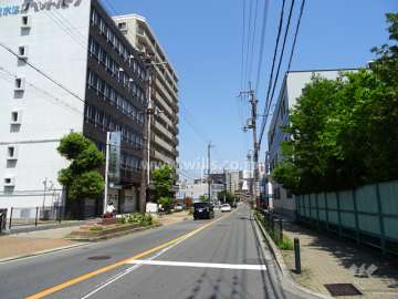 敷地南東側の前面道路。歩道がきれいに整備された二車線の道路で、通称「フラワーロード」です。