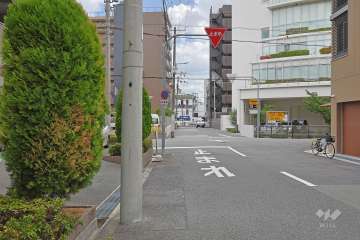 敷地南側の前面道路　