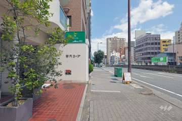 敷地の東側前面道路（南側から）