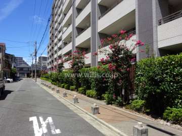 駐車場側からのエントランス