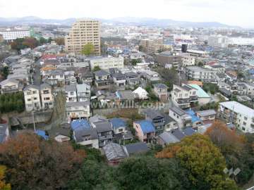 周辺は一戸建てが中心に立ち並ぶ住宅地です。