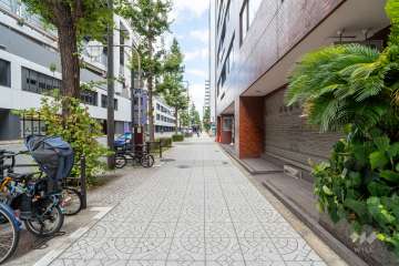 敷地の南側前面道路（東側から）