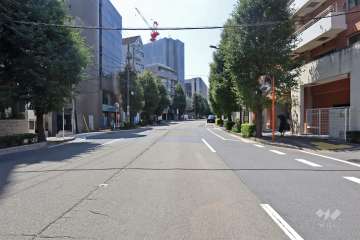 敷地西側の前面道路（北側から）