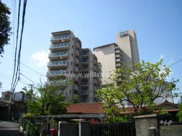 エヌヴィ逆瀬川の外観（南東側から）
