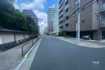 敷地の西側前面道路（南側から）