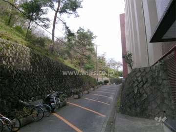 敷地の周囲は山林で、たいへん緑豊かです。