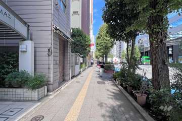 敷地南東側の前面道路（南西側から）