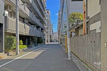 敷地の南側前面道路（西側から）