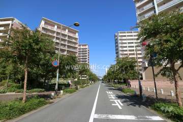 敷地東側の前面道路