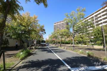 敷地南側の前面道路