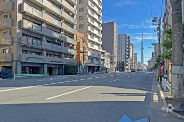 敷地の西側前面道路は土手通りです（北側から）。