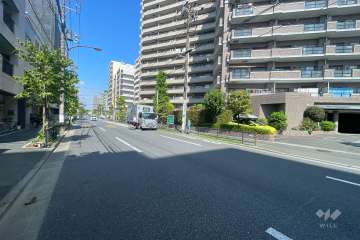 敷地西側の前面道路（南側から）