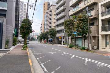 敷地東側の前面道路（北側から）