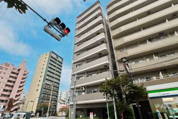 ドムール入谷の外観（南東側から）