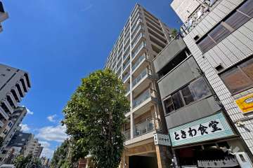 グランドパーク入谷クレアーレの外観（南東側から）