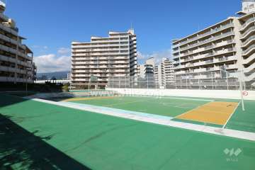 敷地内の広場