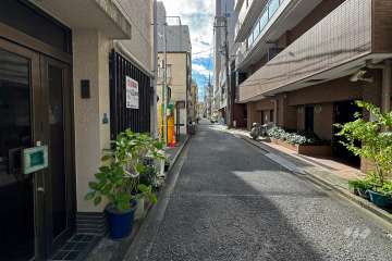 敷地東側の前面道路（北側から）