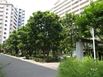 緑豊かな杜のまちの中庭
