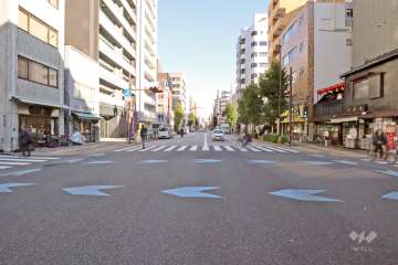 敷地南側の前面道路(西側から)