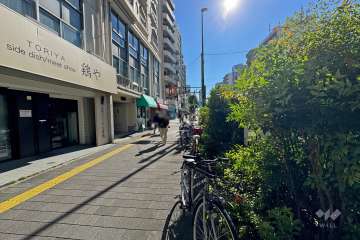 敷地西側の前面道路（北側から）