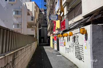 敷地南西側の前面道路（南東側から）