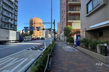 敷地の南側前面道路（東側から）