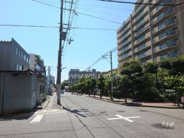 敷地東側の前面道路（北側から）