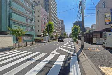 敷地の西側前面道路（北側から）