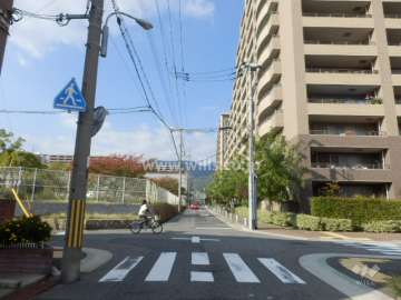 敷地南西側の前面道路