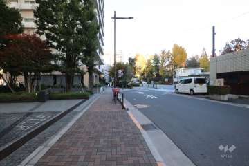 敷地東側の前面道路(南側から)