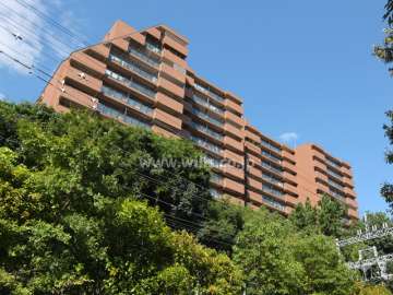 メゾン白鶴の外観（南西側から）